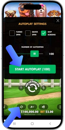 The Dog House autoplay settings