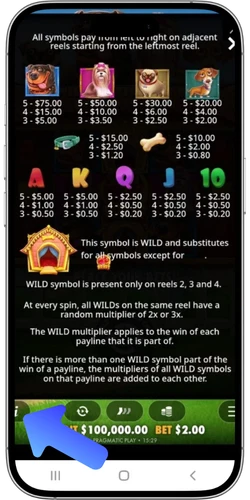 The Dog House paytable info