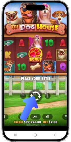 The Dog House spin button