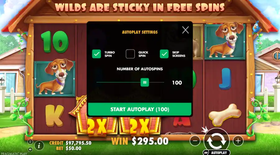 The Dog House autoplay options