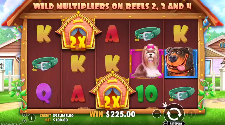 The Dog House wild multipliers